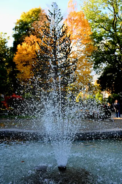 Foto: oehler_photography