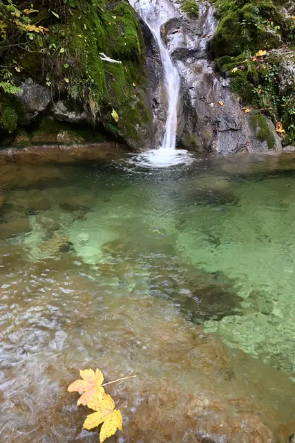 Foto: oehler_photography