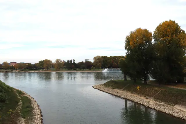 Foto: Julia Glöckner