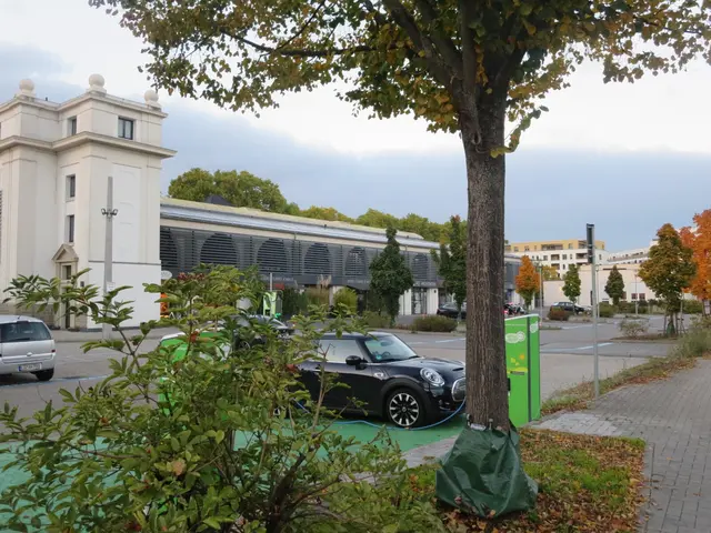 Foto: Julia Glöckner