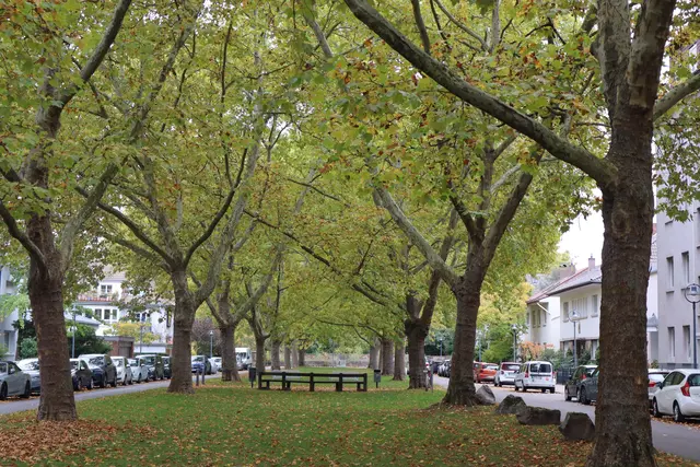 Foto: Julia Glöckner