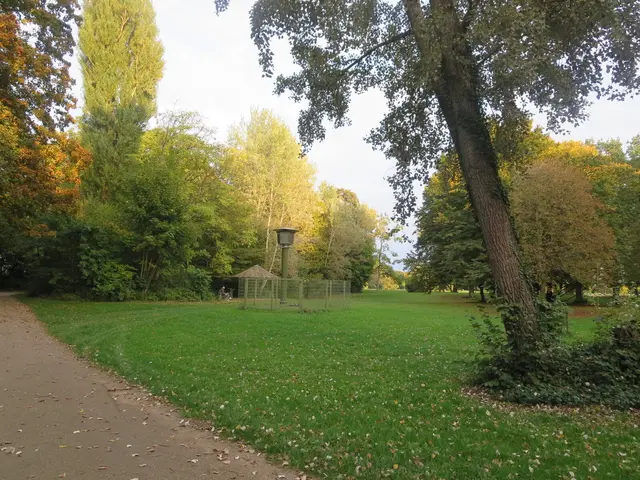 Foto: Julia Glöckner