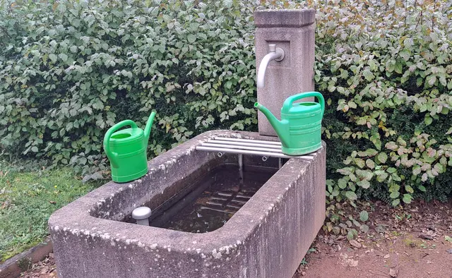 In den kalten Monaten wird das Gießwasser auf den Kaiserslautrer Friedhöfen abgedreht (Symbolfoto) | Foto: Monika Klein