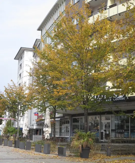 Foto: Julia Glöckner