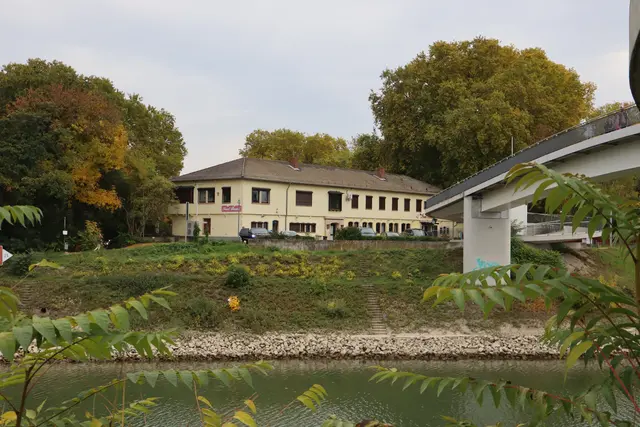 Foto: Julia Glöckner