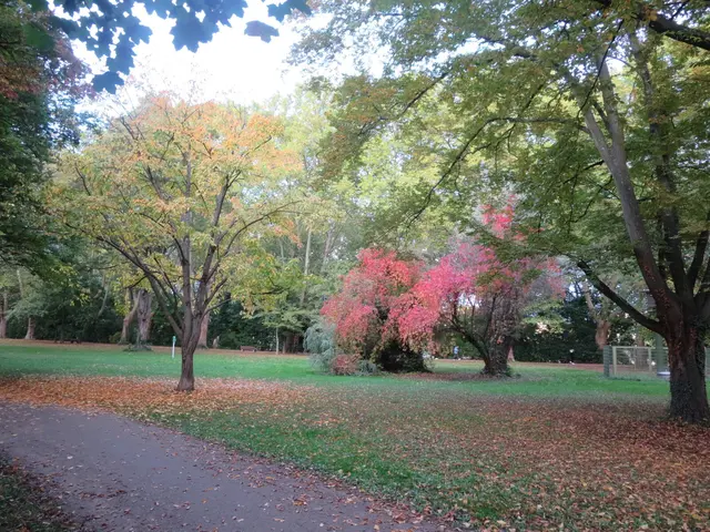 Foto: Julia Glöckner