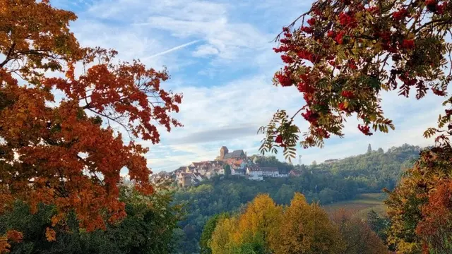 1. Platz Martina Haßlinger | Foto: Martina Haßlinger