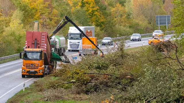 Mit schwerem Gerät werden entlang der A62 zwischen Thaleischweiler-Fröschen und Pirmasens zahlreiche Bäume entfernt. | Foto: Erik Stegner