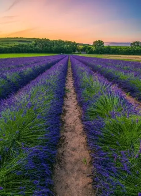 3. Platz Volker Fleckser | Foto: Volker Fleckser