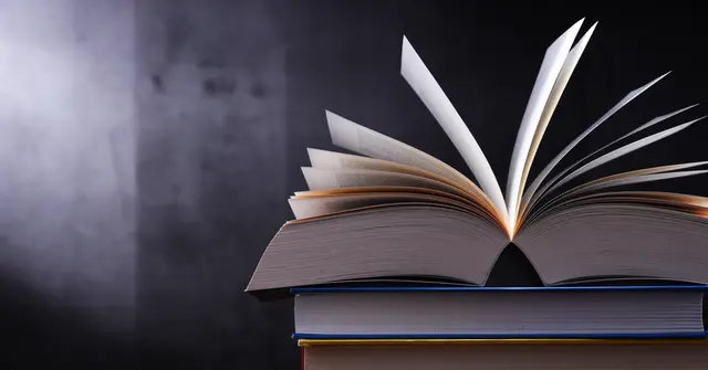 Lesen Symbolbild | Foto: monticellllo/stock.adobe.com