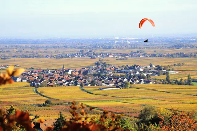 Über den Reben schweben bei Weyher in der Pfalz | Foto: Maike Müller