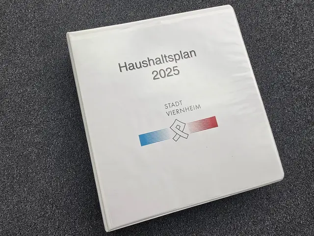 Bürgerversammlung zum Haushaltsplan | Foto: Stadt Viernheim