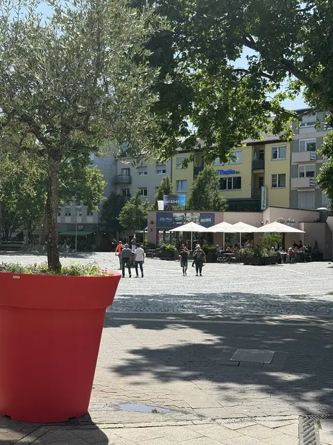 Der Rathausplatz in Frankenthal. | Foto: Wirtschaftsförderung Frankenthal