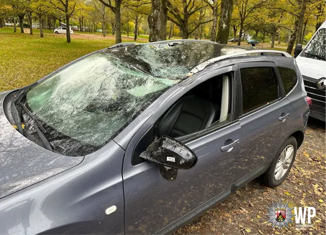 Das Dach des Nissan Qashqai wurde durch den umstürzenden Baum eingedrückt und der Fahrer durch Splitter der Frontscheibe verletzt | Foto: Polizei/gratis