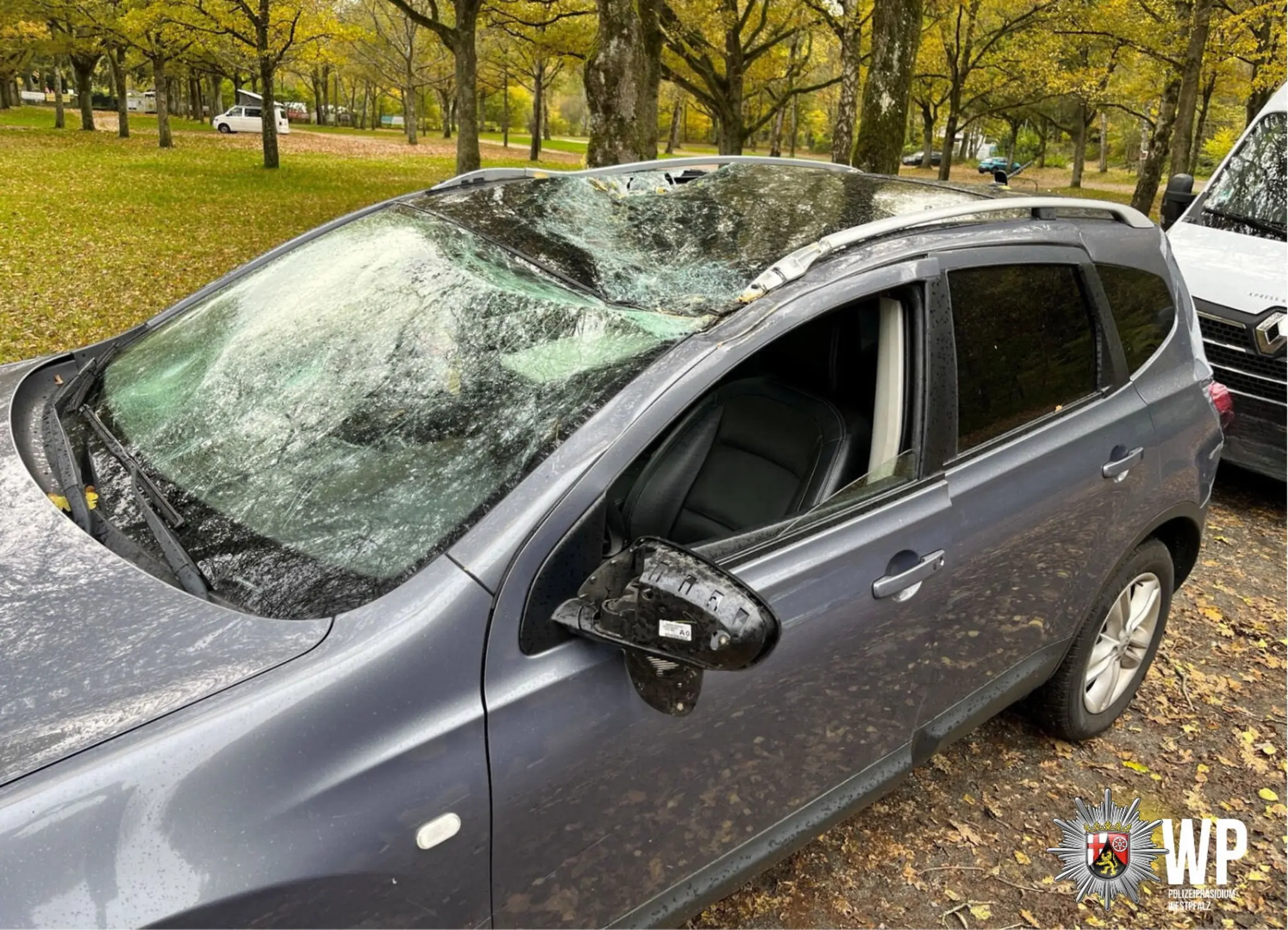 B-270-Baum-st-rzt-auf-Fahrzeugdach-Fahrer-muss-ins-Krankenhaus