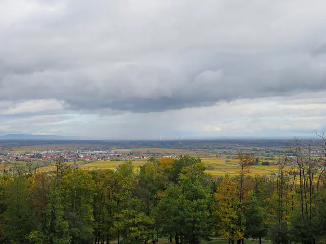 Mit einem Blick über die ganze Pfalz im Herbstlicht | Foto: Brigitte Melder