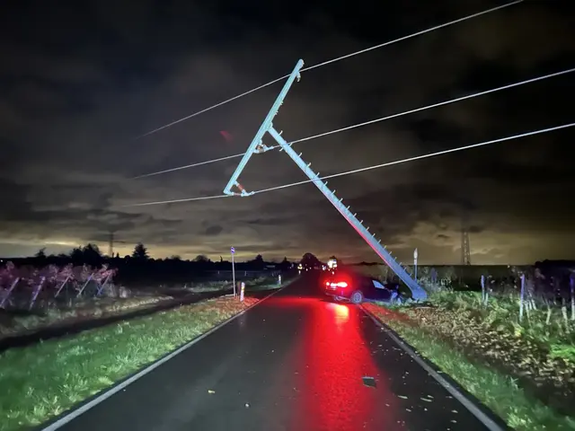 Totalschaden nach Alkoholfahrt – Strommast beschädigt, Straße gesperrt | Foto: Polizeidirektion Neustadt/Weinstraße