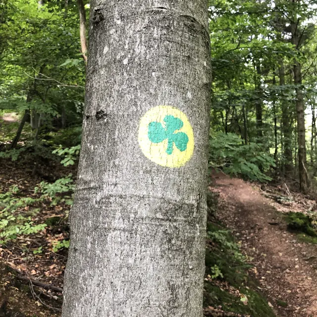 Der Kneipp- und Kleeblatt-Wanderweg | Foto: Reinhard Horsch