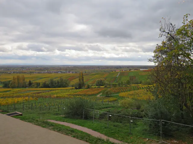 Foto: Brigitte Melder