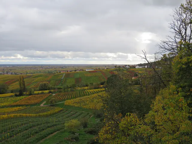 Blick aus dem OG | Foto: Brigitte Melder