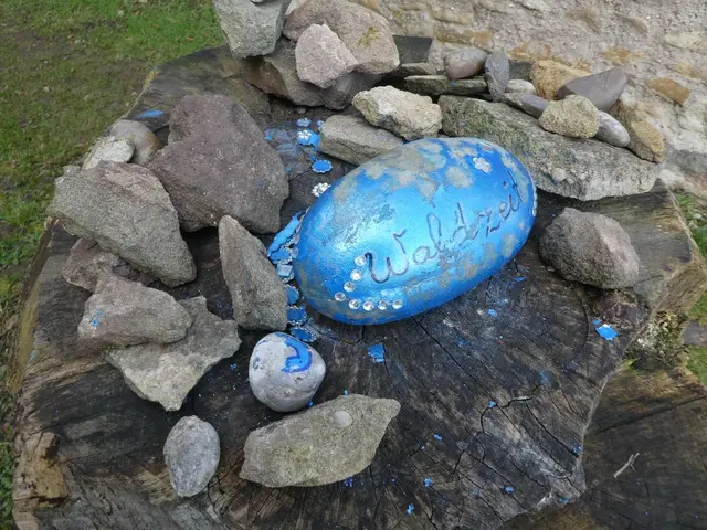 Waldzeit | Foto: Ich