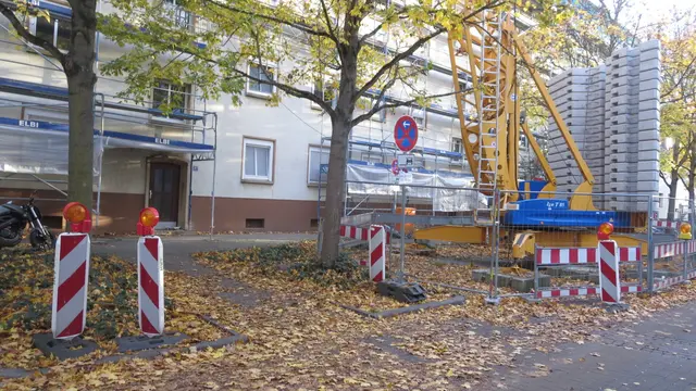 Bewohner stellen ihre Autos zu nah an den Bäumen und teils in den Grünflächen ab. Das kann den Baumwurzeln schaden.  | Foto: Julia Glöckner