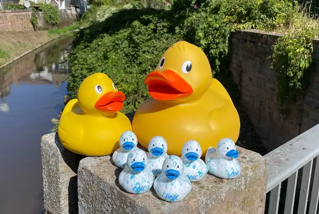 In diesem Jahr planschte Sammy Splash im Woogbach. Jetzt geht es darum, den Erlös aus dem Entenrennen aufzustocken und zu verteilen. | Foto: SWS
