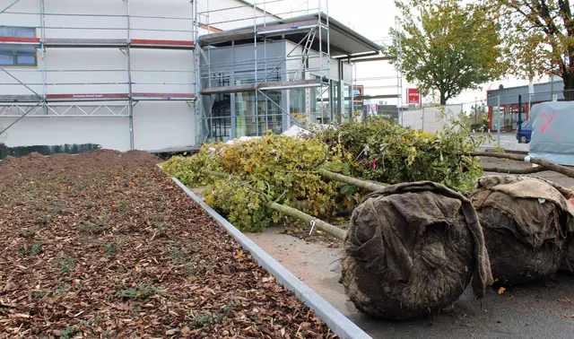 Im Außenbereich gibt es weiterhin Kundenparkplätze, neu entstanden sind Grünflächen | Foto: Monika Klein
