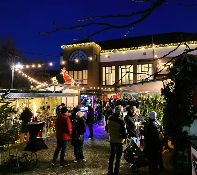 Der festlich geschmückte Edenkobener Nikolausmarkt: Viele Lichter und ein großer Tannenbaum erzeugen vorweihnachtliche Adventsstimmung | Foto: Stadt Edenkoben