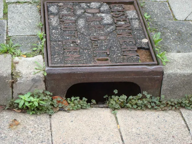 Die legendären Gullys, die als Tore beim "Kanälches" dienten, gibt es vereinzelt heute noch in den Straßenzügen rund um das Geburtshaus von Fritz und Otmar Walter | Foto: Hagen Leopold/gratis