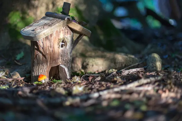 Wichtelweg des Waldkindergartens „Die Frischlinge“ (Symbolfoto) | Foto: Marlon/stock.adobe.com