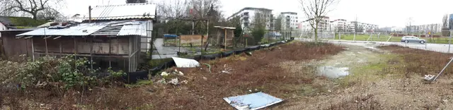 Blick auf alte Kleingärten | Foto: Archiv www.jowapress.de