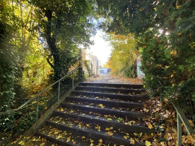Auf der Treppe vom Kotten zur Gartenschau lag an diesem Tag kein Müll, nur Laub | Foto: Monika Klein