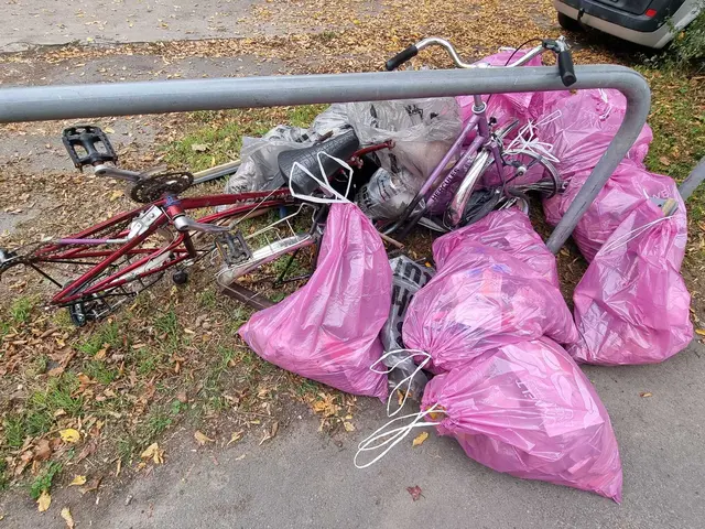 Foto: Stadtfüchse LU - Süd/Mundenheim