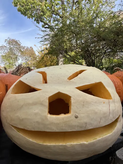 Das Resultat | Foto: Renate Fernando  Werbeleitung