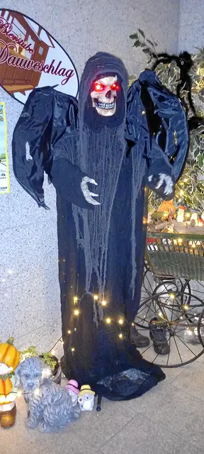 Foto: Norbert Scharf