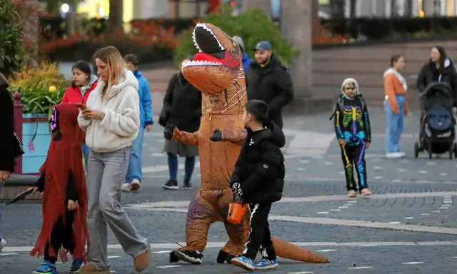 Foto: Norbert Scharf