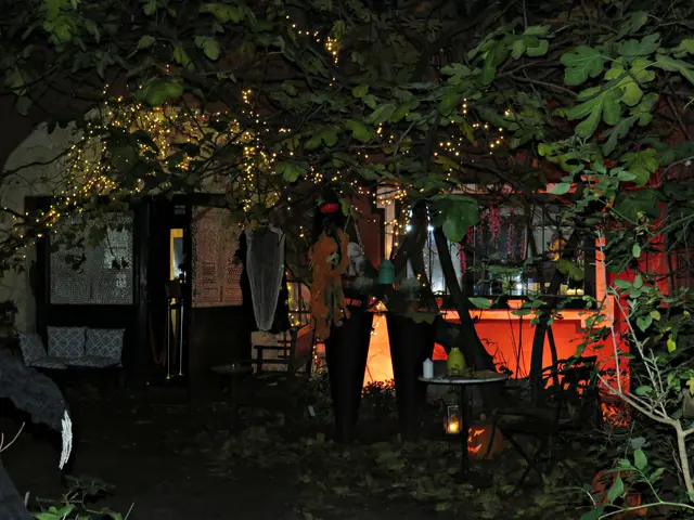 Entreé | Foto: Brigitte Melder