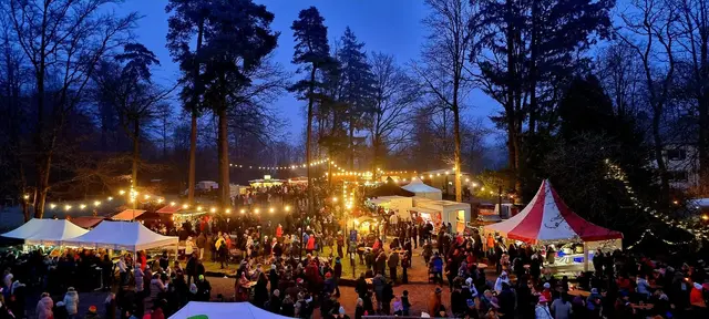 Weihnachtsmarkt Johanniskreuz 2025: Umringt von Bäumen können die Besucher der Romantischen Waldweihnacht bummeln und genießen | Foto: Jens Vollmer