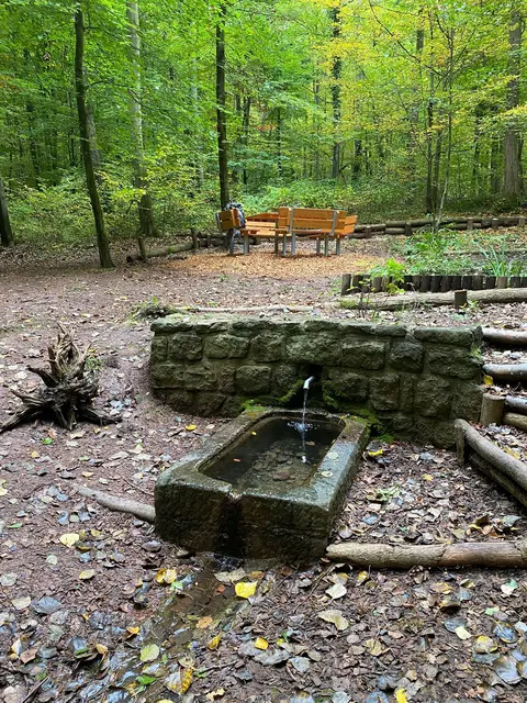 Foto: Hermann Schäffer