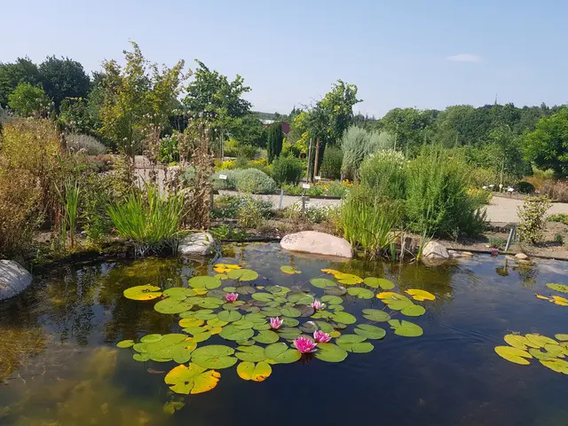 BUGA29 wird Mittelrheintal zum Aushängeschild machen! / Symbolbild | Foto: Gisela Böhmer