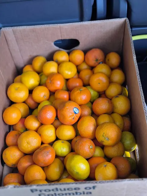 Ruhls Auto und und Garage werden zu Drehkreuz und Abnahmestelle für die Lebensmittel. Sie packt ihr Auto voll, fährt zur vereinbarten Abnahmestelle und öffnet die Autotüren.  | Foto: Foodsharing/Tanja Ruhl