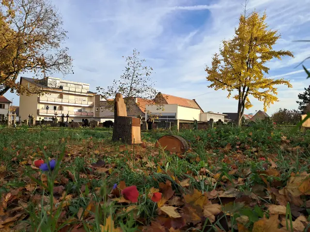 Foto: Stadtverwaltung Schifferstadt