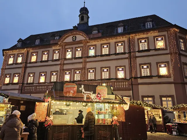Der XXL-Adventskalender am Rathaus zählt zu den Höhepunkten des Weihnachtsmarkts der Kunigunde. | Foto: Eva Bender