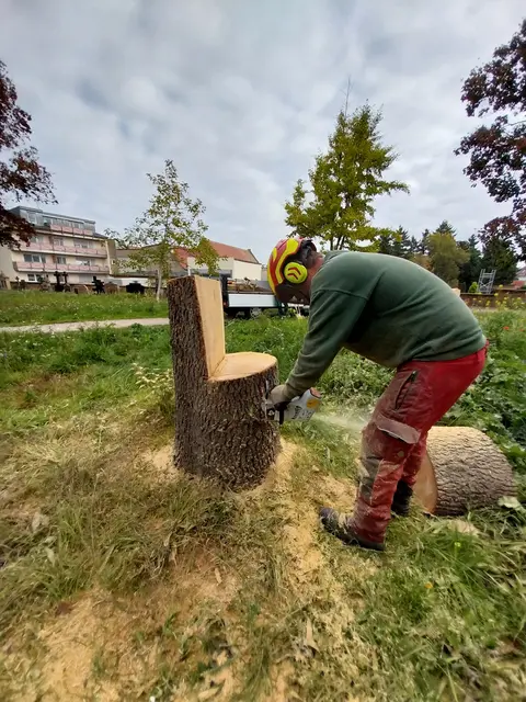 Foto: Stadtverwaltung Schifferstadt