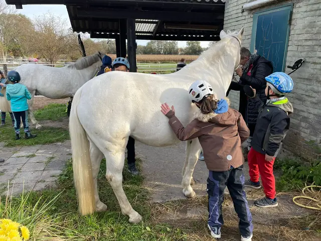 Streicheln, Striegeln, Reiten: Kinder der Klosterschule Speyer besuchen den Reitclub | Foto: Reitclub Speyer