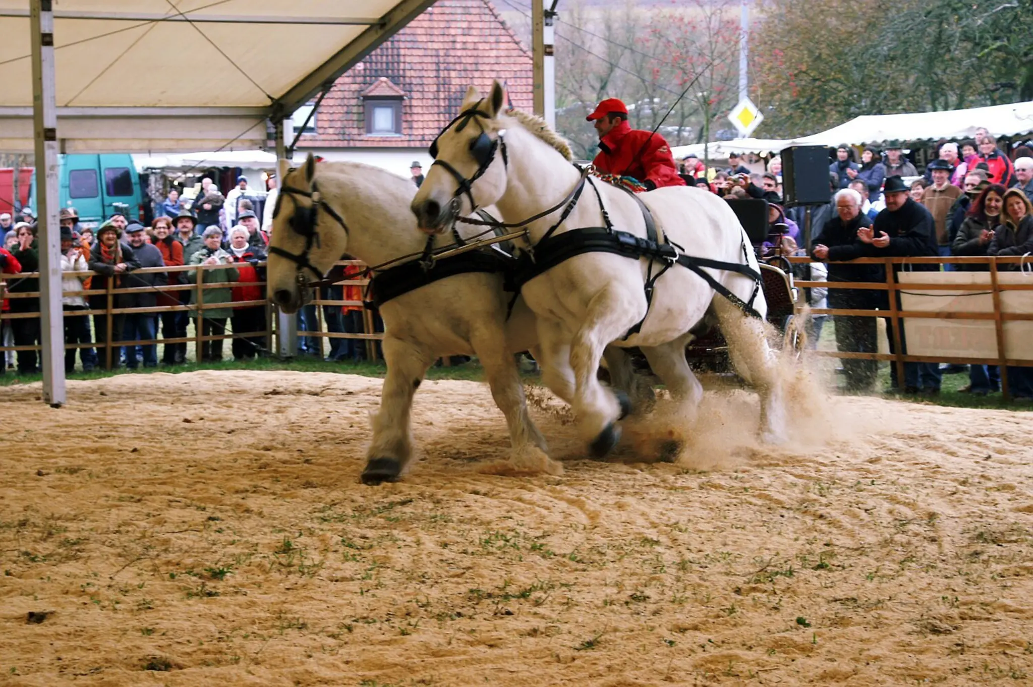 Pferdemarkt-in-Quirnbach-fester-Bestandteil-der-Region-und-dar-ber-hinaus