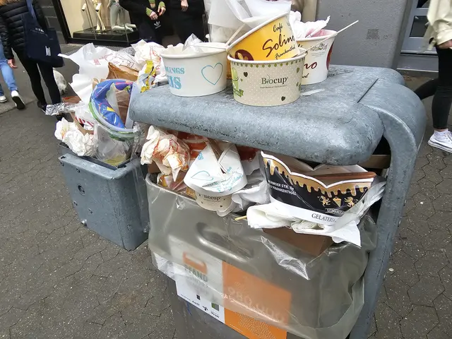 Ein überfüllter Mülleimer: Das Einführen der Verpackungssteuer in Kaiserslautern ist gescheitert  (Symbolfoto) | Foto: Gisela Böhmer