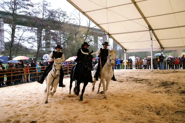 Pferd und Reiter präsentieren sich | Foto: Horst Cloß/Archiv