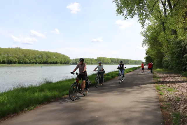 Am Rhein entlang bei Germersheim | Foto: Heike Schwitalla